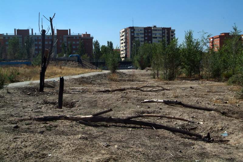 AVIB denuncia el estado de abandono del segundo tramo del Parque Lineal del Manzanares