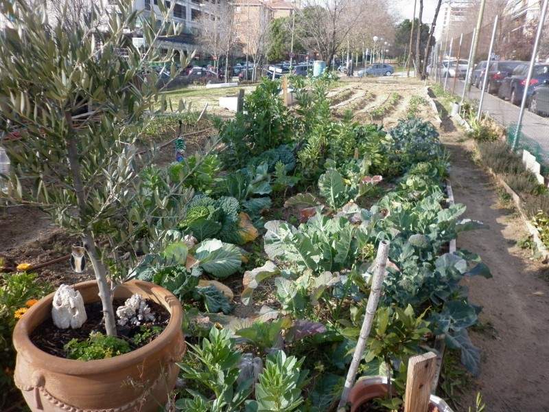 Adjudicadas las obras de adecuación de las 17 parcelas destinadas a huertos urbanos comunitarios de Madrid