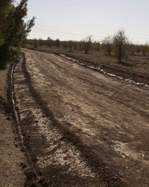 El Ayuntamiento de Coslada, cómplice de un nuevo atentado ecológico en el Bosque del Humedal