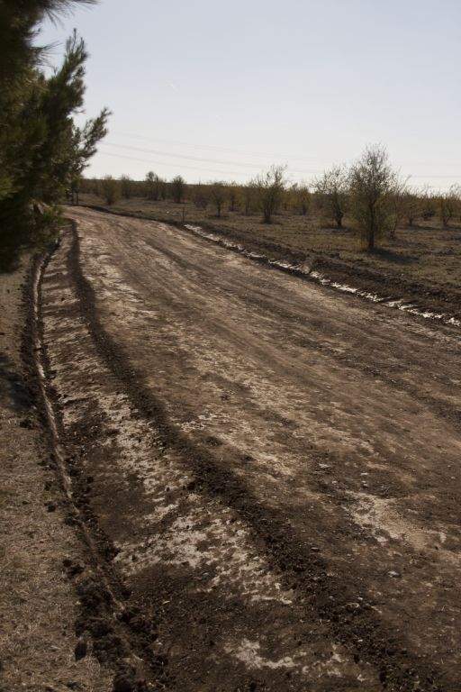 El Ayuntamiento de Coslada, cómplice de un nuevo atentado ecológico en el Bosque del Humedal