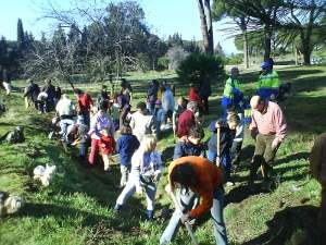 El Ayuntamiento de Madrid amenaza con retirar los árboles plantados por la Plataforma Salvemos la Dehesa de la Villa