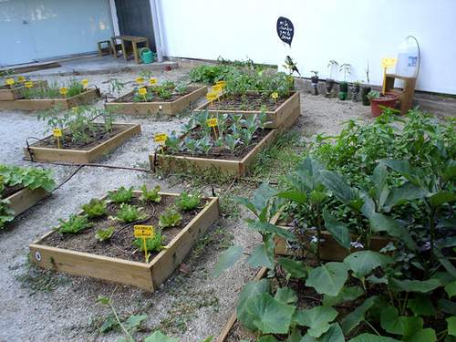 El I Congreso de agricultura urbana hace un llamamiento a incorporar los huertos y parques agrícolas en la planificación de nuestras ciudades