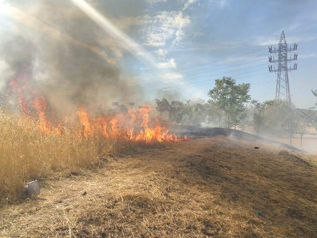 El Parque Manolito Gafotas de Carabanchel sufre el segundo incendio en un mes