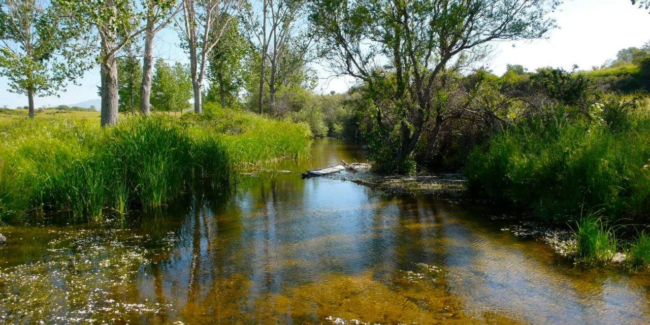 El campo de golf de Tres Cantos amenaza el equilibrio hídrico del municipio
