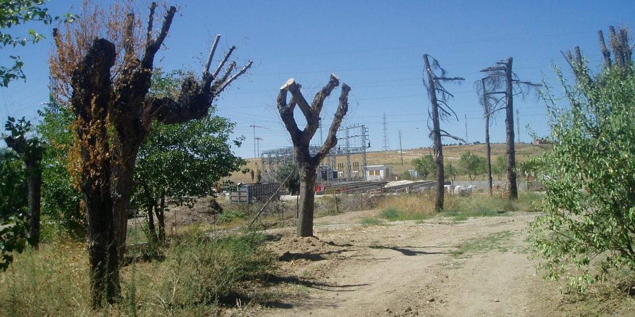 El parque de La Alhóndiga, pasto del abandono municipal