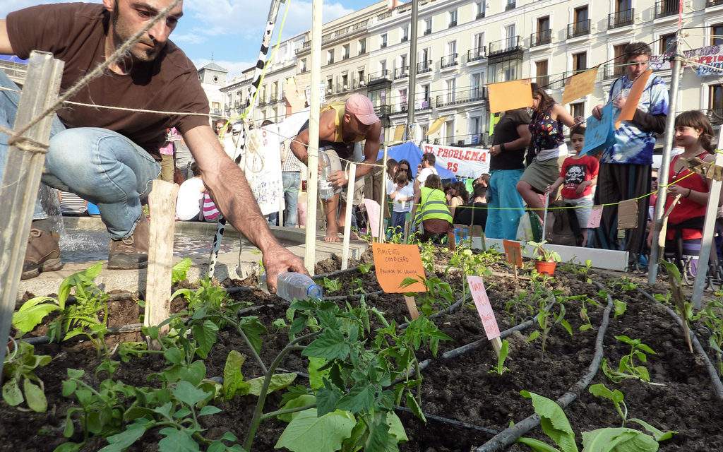 El símbolo de la huerta del Sol