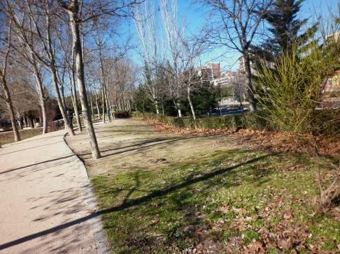 El vecindario de Hortaleza denuncia el estado de abandono del parque de Villa Rosa