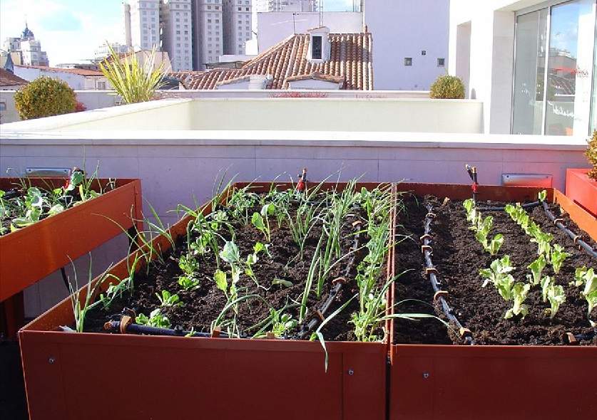 La Casa Encendida abre sus puertas a la reflexión sobre los huertos urbanos
