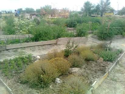 La exposición ”Plantando redes” llega al distrito de Usera