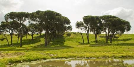 Los vecinos de Hortaleza hacen su propia inauguración del parque de Valdebebas