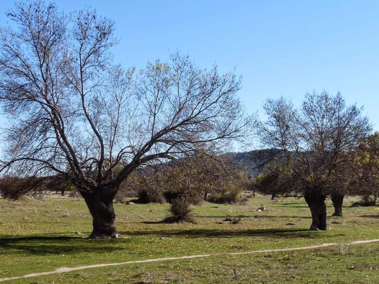 Moralzarzal contra el campo de golf “rústico” que proyecta el Ayuntamiento de la localidad