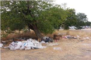 San Fermín exige soluciones urgentes a la falta de limpieza del barrio y al abandono de sus zonas verdes