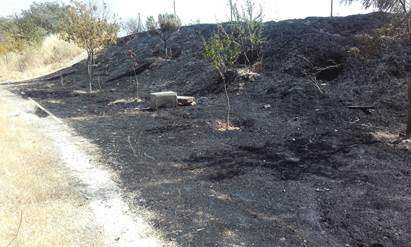 Se incendia el Parque Manolito Gafotas de Carabanchel tras llevar dos años sin desbrozar