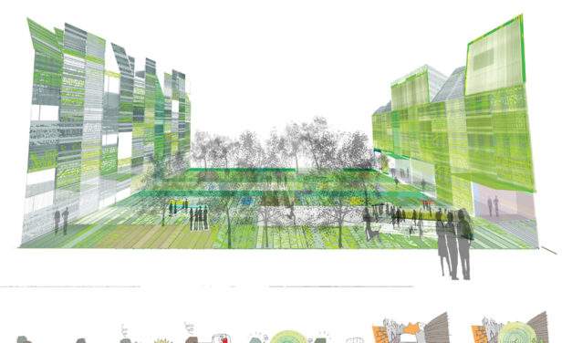 ACIBU sigue dando la batalla para revitalizar la plaza de la Luna