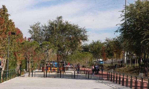 Adelfas pide el desmantelamiento del scalextric de Puente de Vallecas