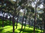 Cautela ante el anuncio del cierre al tráfico de la Casa de Campo
