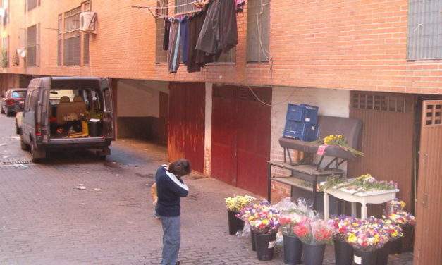 Cuatro millones de euros para reparar las viviendas de Orcasur