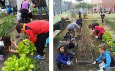 Proyecto PB Palomeras: Escuela medioambiental