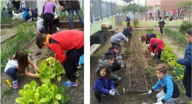 Proyecto PB Palomeras: Escuela medioambiental