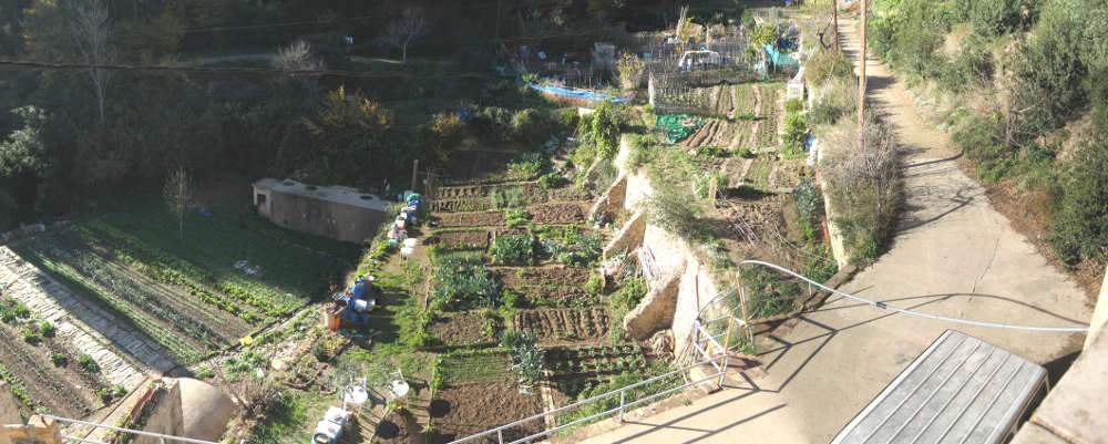 <i>El escarabajo verde</i> cuenta la historia de los huertos comunitarios de Can Masdeu
