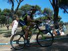 Los macroeventos deportivos hacen peligrar la conservación de la Casa de Campo
