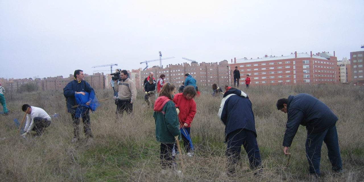 Los vecinos de Coslada plantan centenares de árboles en el Bosque del Humedal