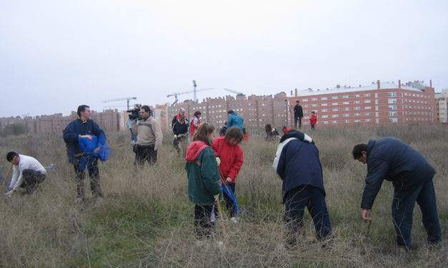 Los vecinos de Coslada plantan centenares de árboles en el Bosque del Humedal