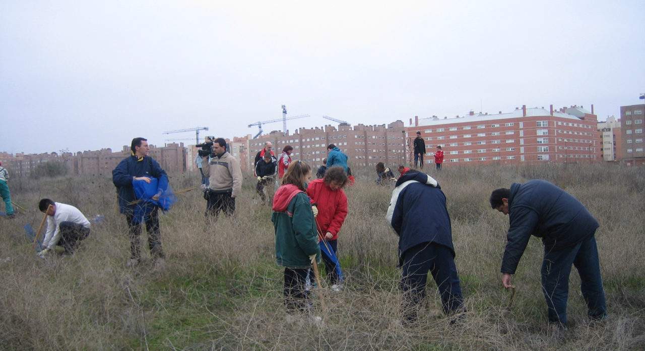 Los vecinos de Coslada plantan centenares de árboles en el Bosque del Humedal
