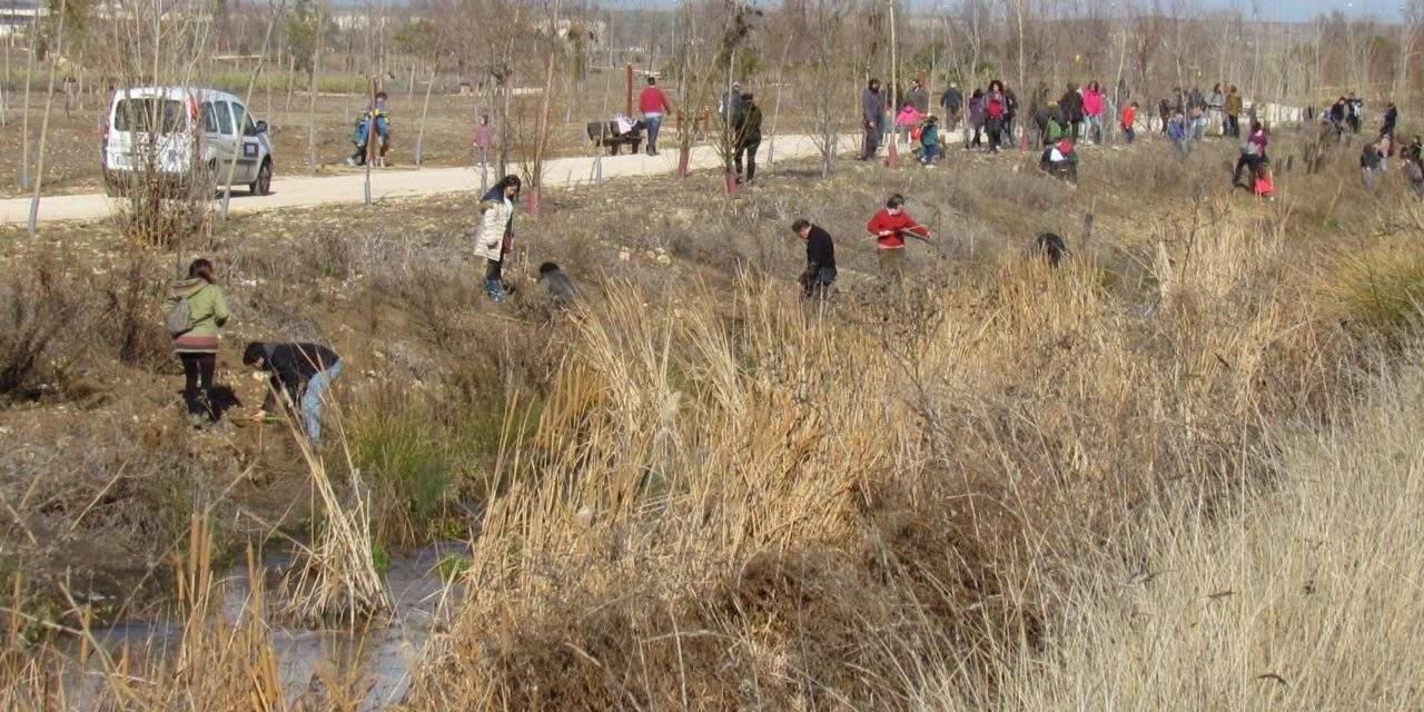 La Plataforma Valle del Henares se da a conocer con una plantación en el río Camarmilla