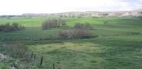 ¿Qué se esconde detrás de la ubicación del Canal de Remo para Madrid 2016 en el Parque Lineal del Manzanares?
