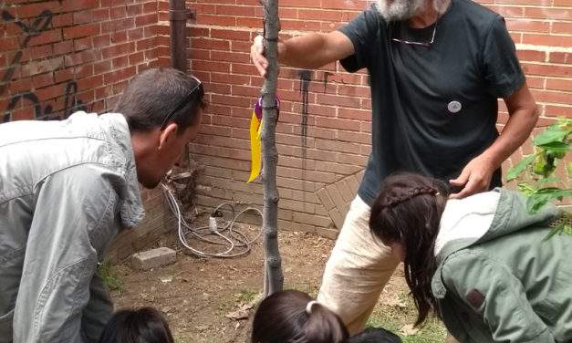 El Alto de San Isidro recuerda a su guerrillera vecinal, Carmen González
