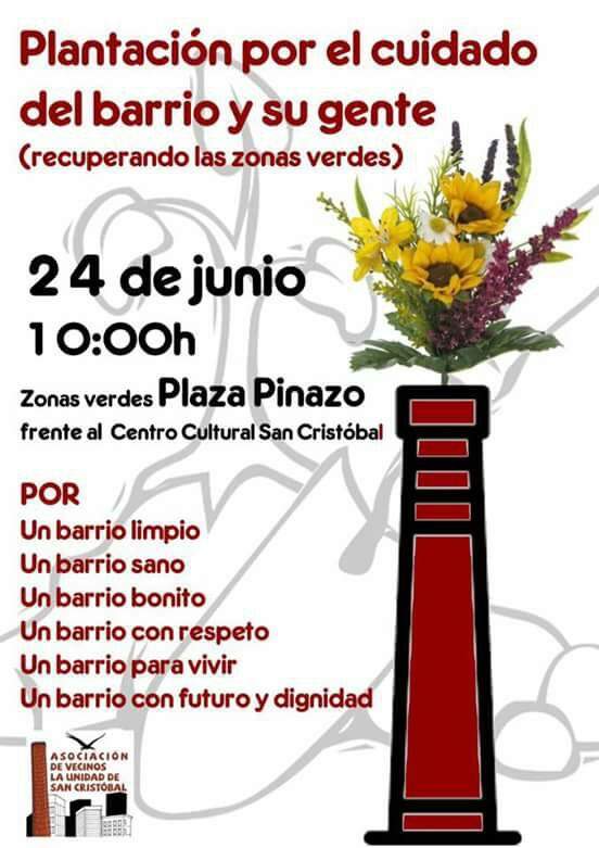 Plantación Plaza de los Pinazo, 