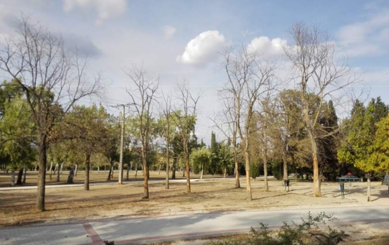La muerte silenciosa del Parque de Las Cruces (Carabanchel)