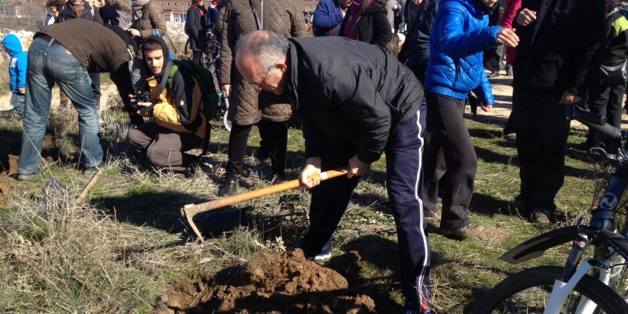 Plantamos árboles en vez de torres de hormigón, en Chamartín