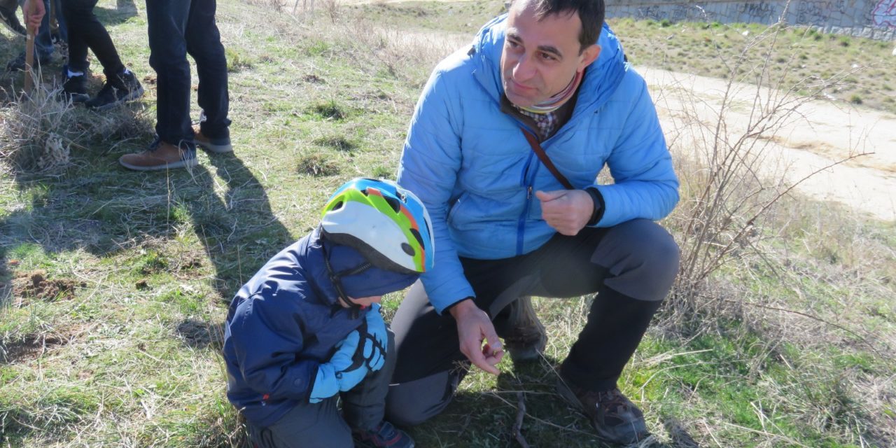 Plantamos árboles en vez de torres de hormigón, en Chamartín