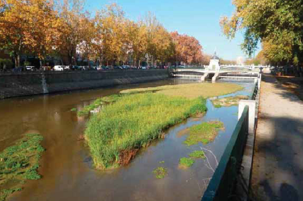 AAVV de Arganzuela, Carabanchel y Usera reclaman la apertura de la compuerta 9 del Manzanares