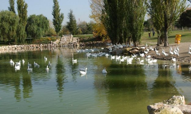 “El Soto no se toca”: la ciudadanía de Móstoles protesta contra la celebración de un macro festival en el parque