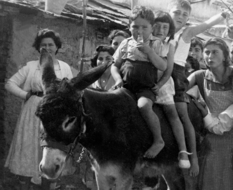 La memoria ciudadana de Majadahonda, en imágenes