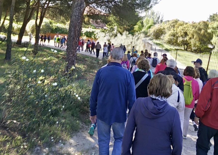 Un centenar de personas marchan en defensa del Monte del Pilar de Majadahonda