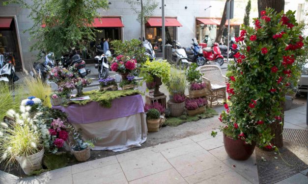 La Junta de Fuencarral impide la celebración de un Park (ing) Day vecinal porque la actividad «no se encuentra entre las programadas” por el Ayuntamiento