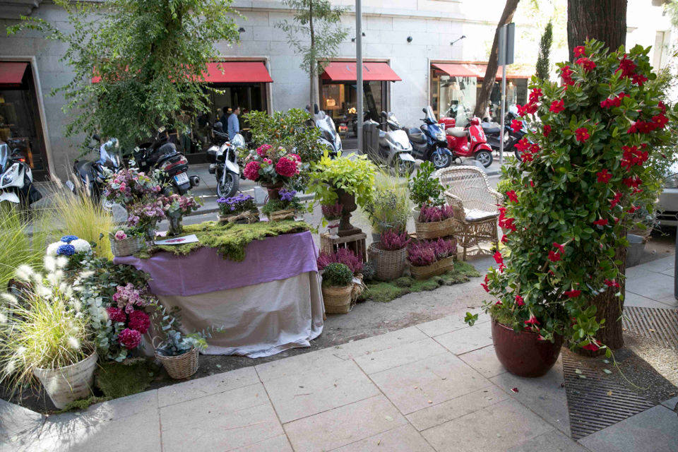 La Junta de Fuencarral impide la celebración de un Park (ing) Day vecinal porque la actividad “no se encuentra entre las programadas” por el Ayuntamiento