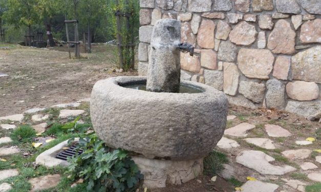 Día Mundial del Agua: es hora de asumir la emergencia climática