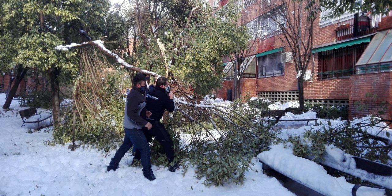 Las asociaciones vecinales de Usera reclaman un plan especial de inversiones para hacer frente a los estragos de la nevada