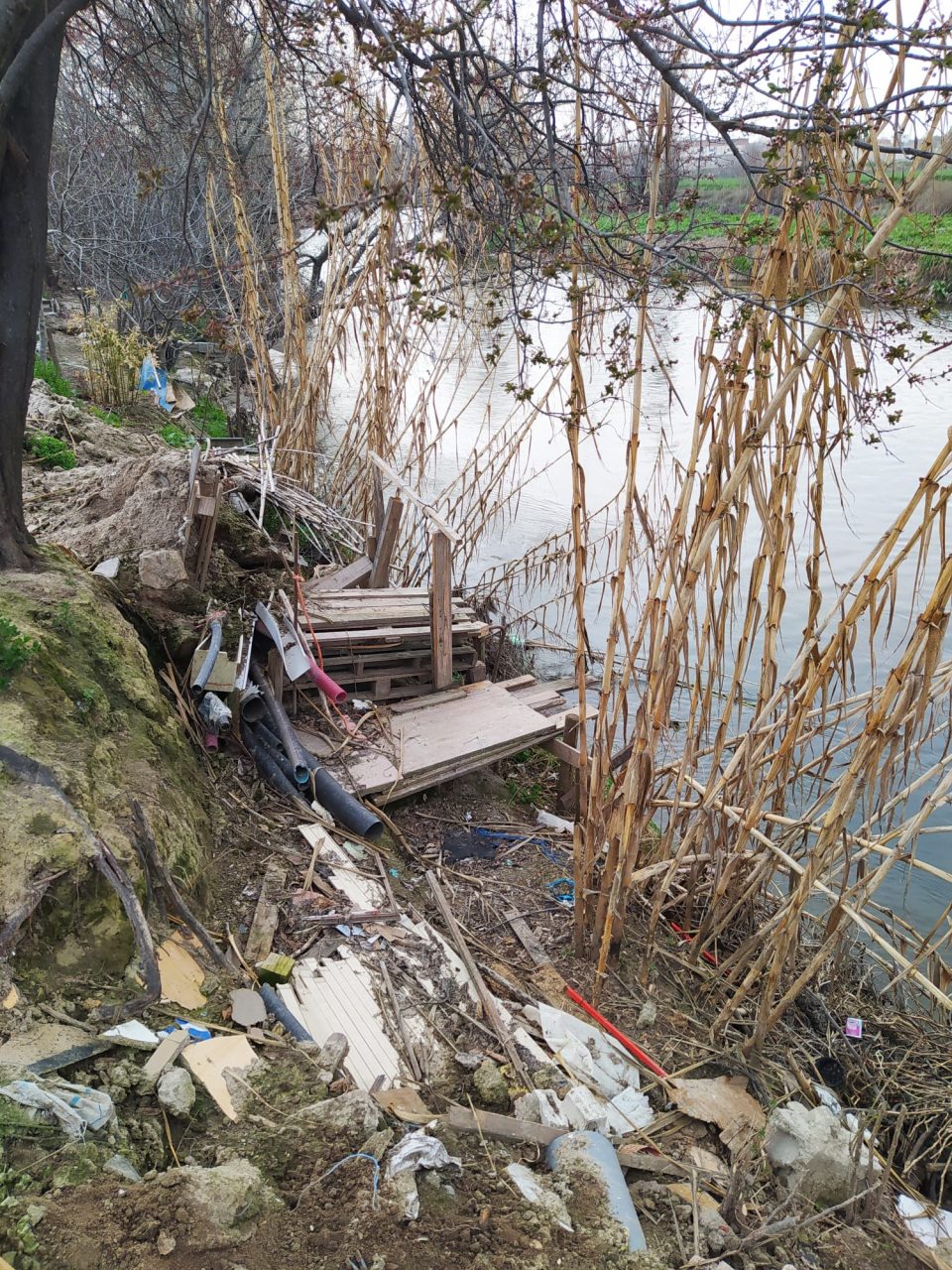 Río Manzanares a su paso por Perales del Río