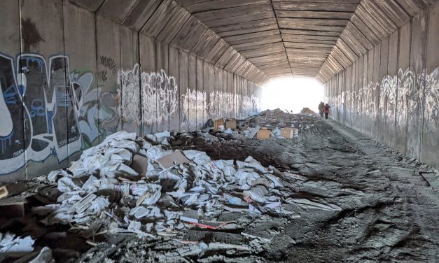 Varios cientos de personas dan vida a las marchas por la recuperación del Manzanares Sur