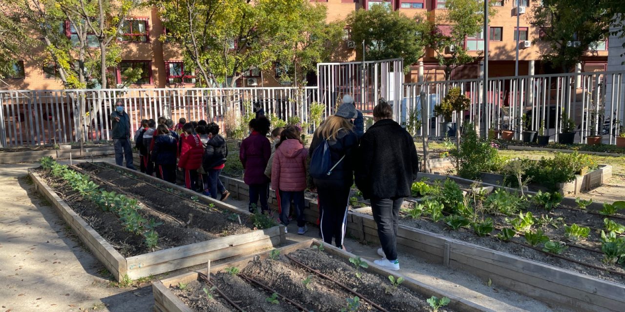 La vecindad de Arganzuela se moviliza para impedir que la junta municipal desaloje el huerto urbano Las Vías