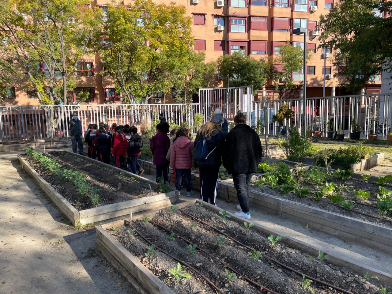 La vecindad de Arganzuela se moviliza para impedir que la junta municipal desaloje el huerto urbano Las Vías