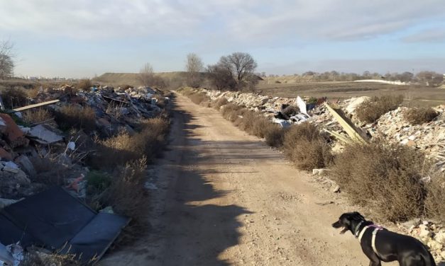 Varios cientos de personas dan vida a las marchas por la recuperación del Manzanares Sur