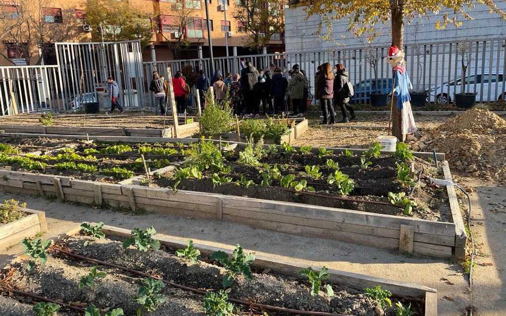 La Junta de Arganzuela rectifica y no cerrará el huerto urbano Las Vías