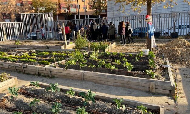 La Junta de Arganzuela rectifica y no cerrará el huerto urbano Las Vías